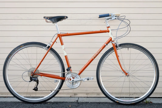Rivendell - Lugged Roadini - Frameset