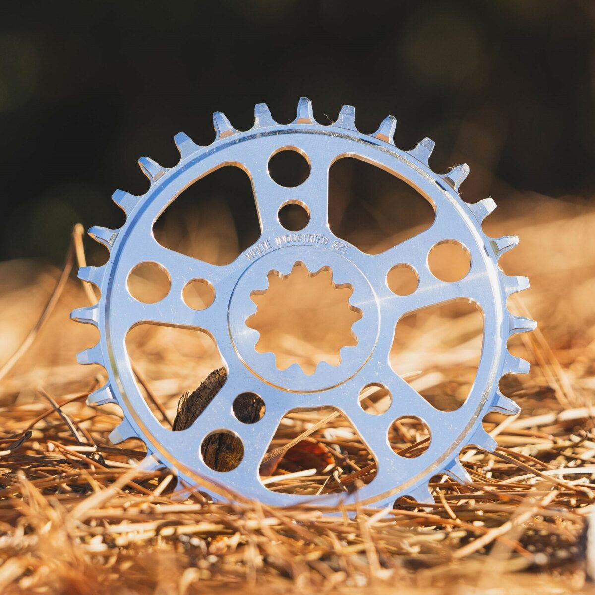 White Industries - Square Taper ENO TSR Chainring – Guten Biken
