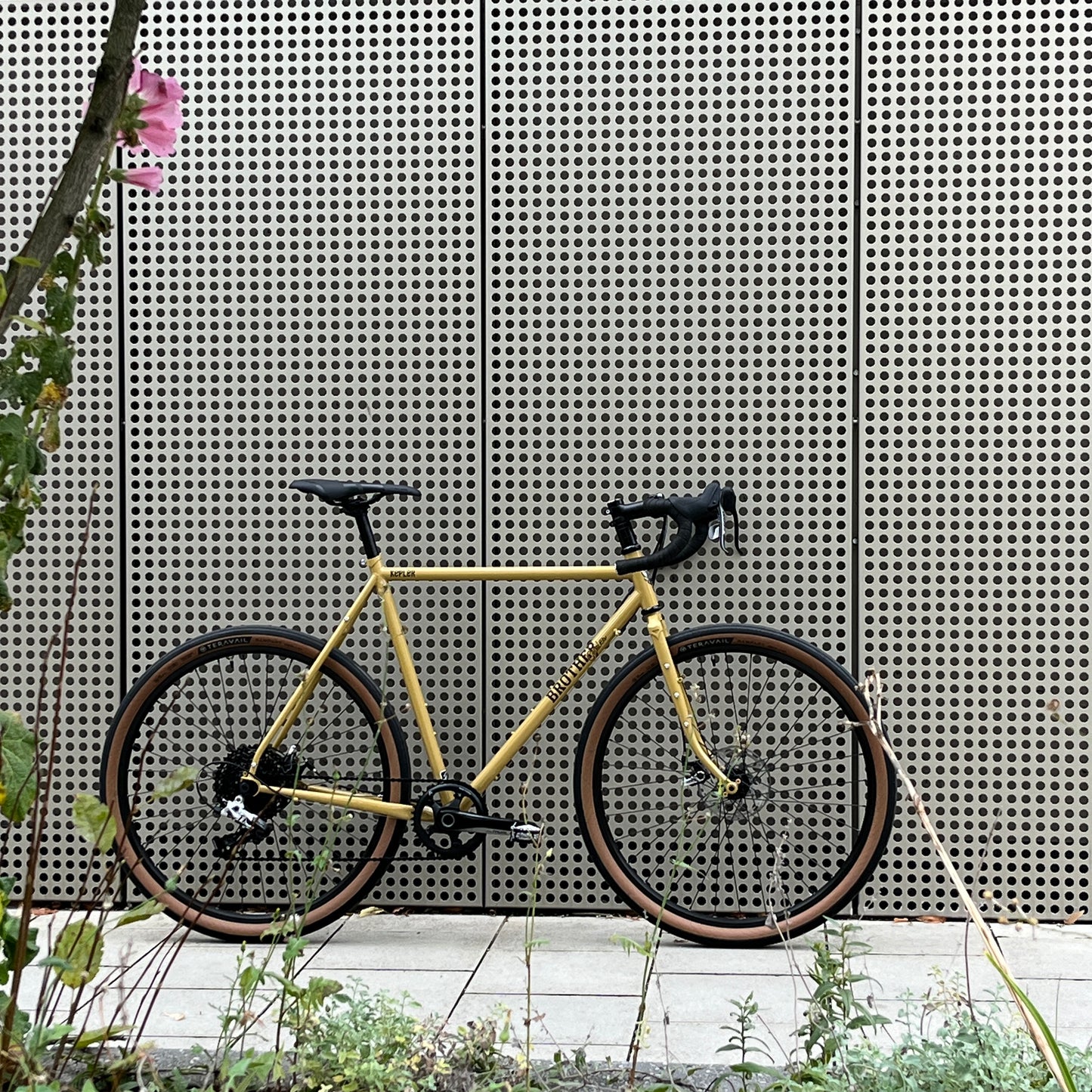 Brother Cycles - Kepler - Shop Build