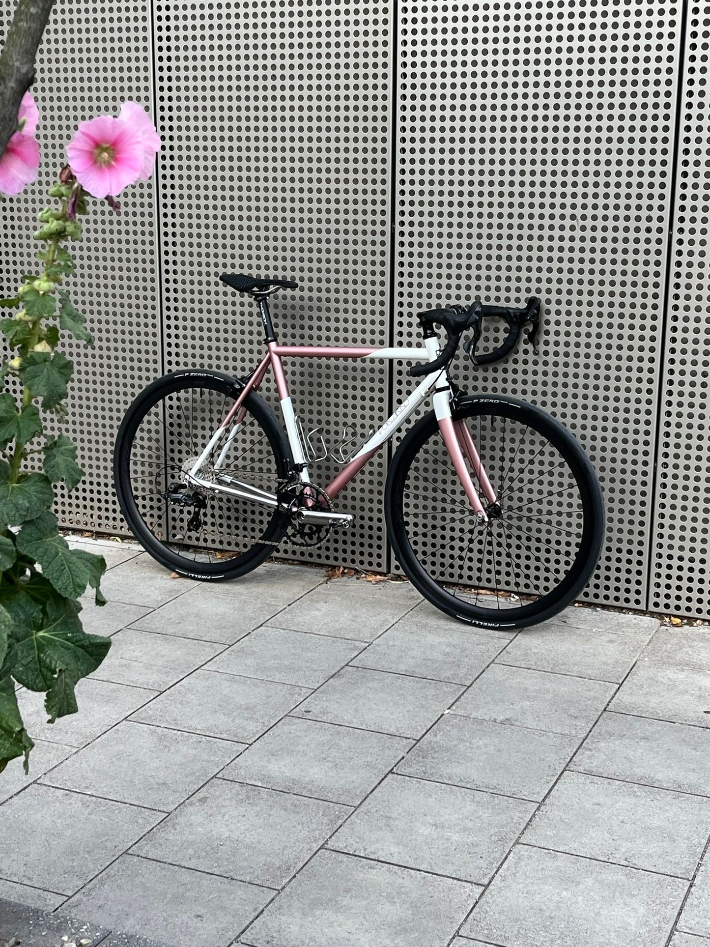 Cicli Bonanno - Mogast Frameset