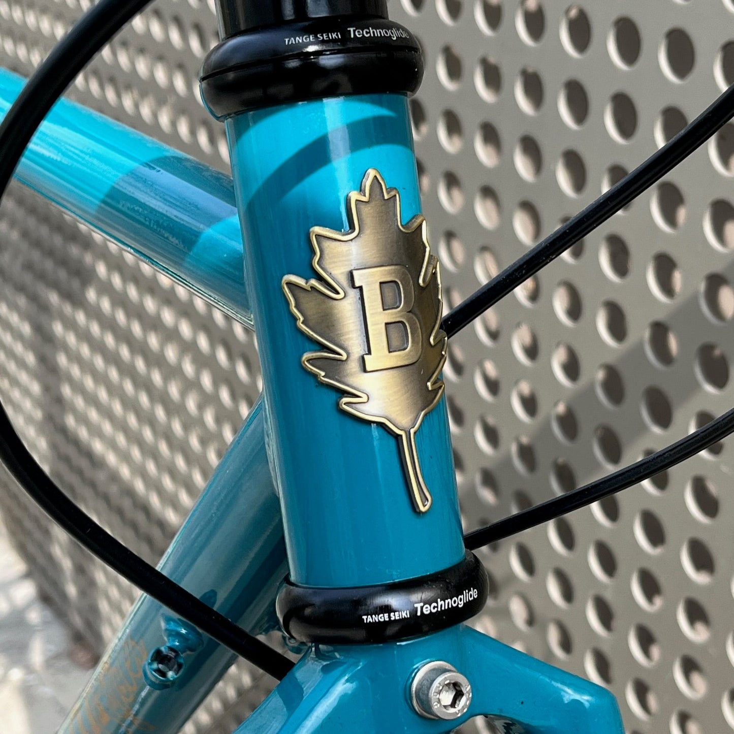 Brother Cycles - Kepler - Shop Build