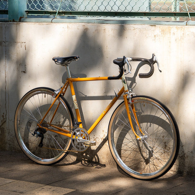 Pre-Order - Rivendell - Lugged Roadini - Frameset