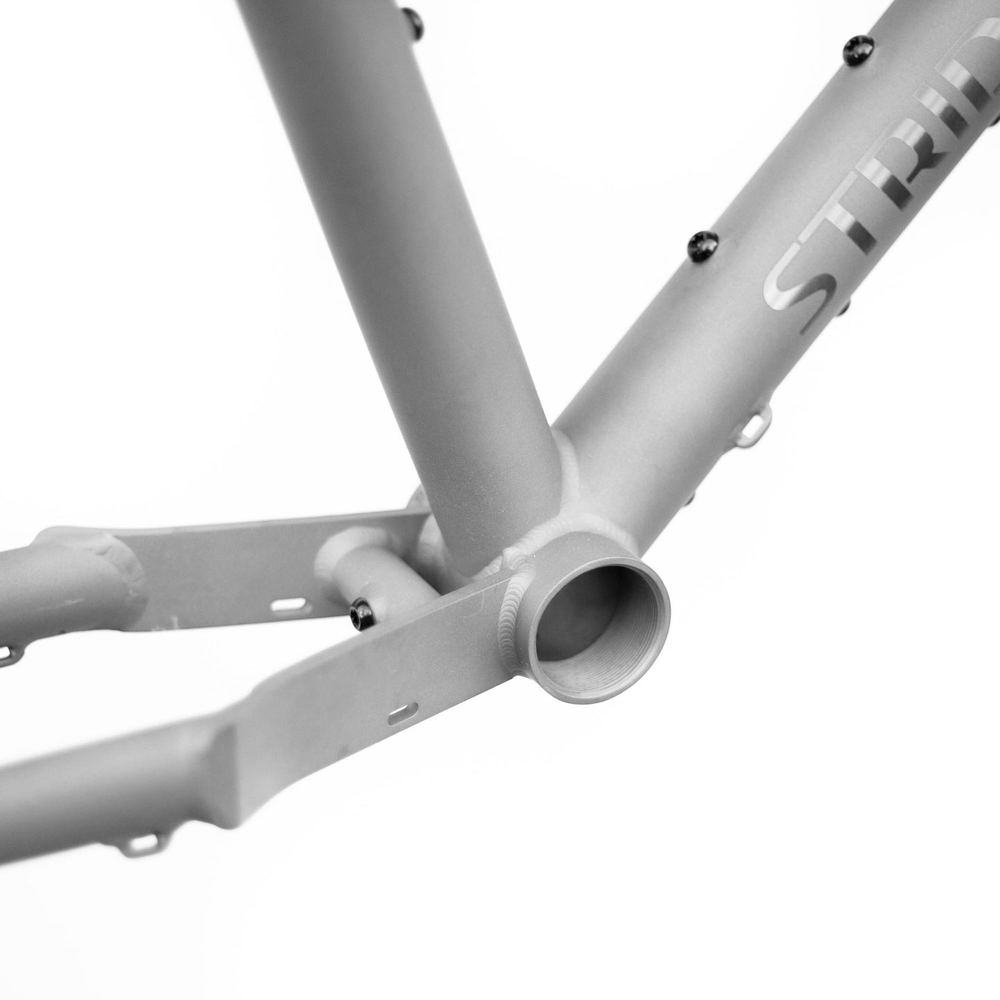 Pre-Order - Stridsland - Titanium Beachcomber