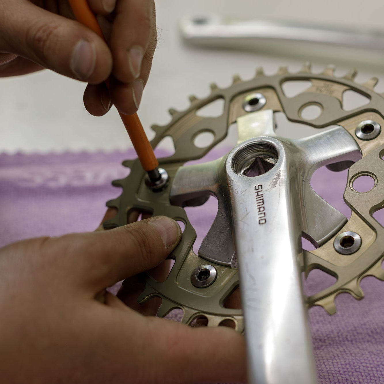 Pre- Order - Too Tired Cycles - Flipside Chainring