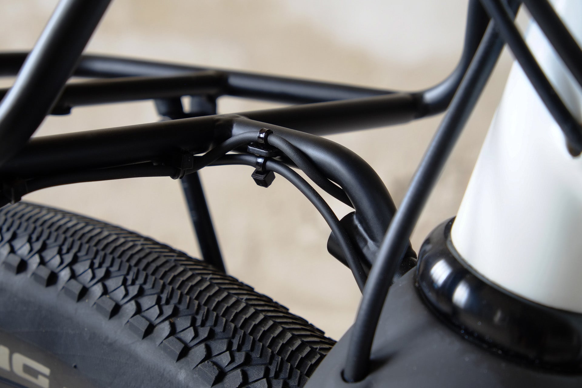 Allygn - Diamond Rack - Guten Biken GmbH